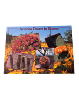 Arizona Desert in Bloom Postcard, Blank - £3.74 GBP