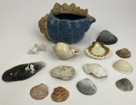 Sea Shell Blue Ceramic Planting Pot Succulent Planter Garden w Sea Shells Cali - £27.77 GBP