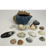 Sea Shell Blue Ceramic Planting Pot Succulent Planter Garden w Sea Shell... - $34.64