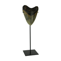 Zeckos Mounted Giant Megalodon Shark Tooth Fossil Sculpture - £31.64 GBP