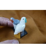 (Y-BIR-PA-480) pair of Parrots white + gray love bird gemstone STONE Per... - $24.26 CAD
