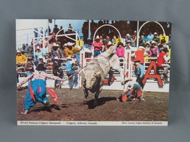 Vintage Postcard - Calgary Stampede Bull Riding Rodeo Clowns - Wilson&#39;s Superb - £11.97 GBP
