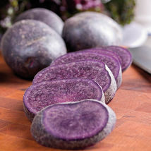 2 Pound Blue Adirondack Seed Potatoes #MNTS - £37.72 GBP