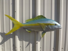 27&quot; Yellowtail Snapper Two Sided Fish Mount Replica - Quick Production - £200.78 GBP