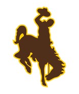 Wyoming Cowboys Precision Cut Decal - £2.71 GBP+