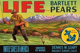 Life Brand Bartlett Pears by Schmidt Litho Co. - Art Print - $21.99+