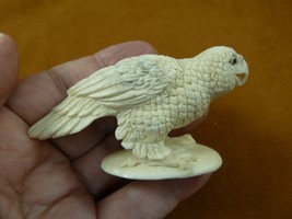 (PARA-1) tropical Parakeet bird shed ANTLER figurine Bali detailed birds effigy - £91.91 GBP