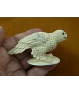 (PARA-1) tropical Parakeet bird shed ANTLER figurine Bali detailed birds... - $114.99
