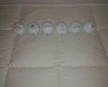 6 Pinnacle Golf balls #4 with logos of various courses Never hit - $25.99
