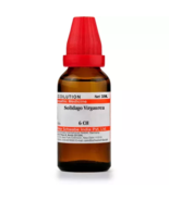 Willmar Schwabe India Homeopathic Solidago Virgaurea Mother Tincture Q (... - £11.16 GBP