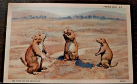 Antique Vintage JR Willis, C T Art-Colortone Curt Teich Co. Post Card 1930s - £10.90 GBP