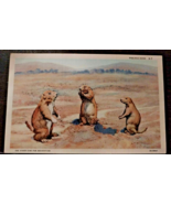 Antique Vintage JR Willis, C T Art-Colortone Curt Teich Co. Post Card 1930s - $260.75 MXN