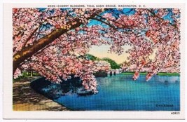DC District Of Columbia Postcard Washington Cherry Blossoms Tidal Basin Bridge - £1.70 GBP