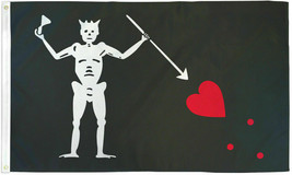 Edward Teach Blackbeard Pirate Flag 3X5 Boating Flag Skull Flag Jolly Ro... - $19.99