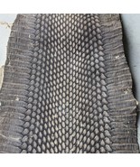 Natural Genuine Cobra Snake Skin Sankeskin Leather Strong Pliable 6.25x52&quot; - $59.66 CAD
