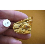 (k-5001) 10 g Rare Kauri tree Gum copal polished Amber New Zealand Tane ... - $43.00