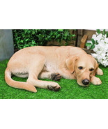 Large Realistic Sleeping Yellow Labrador Retriever Statue 21&quot;H Golden Re... - €255,91 EUR