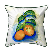 Betsy Drake Two Oranges Large Indoor Outdoor Pillow 18x18 - £46.71 GBP
