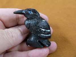 (Y-BIR-RA-130) lil BLACK RAVEN CROW Onyx carving PERU figurine bird Noir... - £11.18 GBP