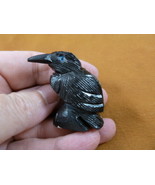 (Y-BIR-RA-130) lil BLACK RAVEN CROW Onyx carving PERU figurine bird Noir... - $266.28 MXN