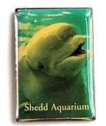Shedd Aquarium Beluga Whale Pin Marine Mammal Chicago Souvenir Collectible - $243.19 MXN