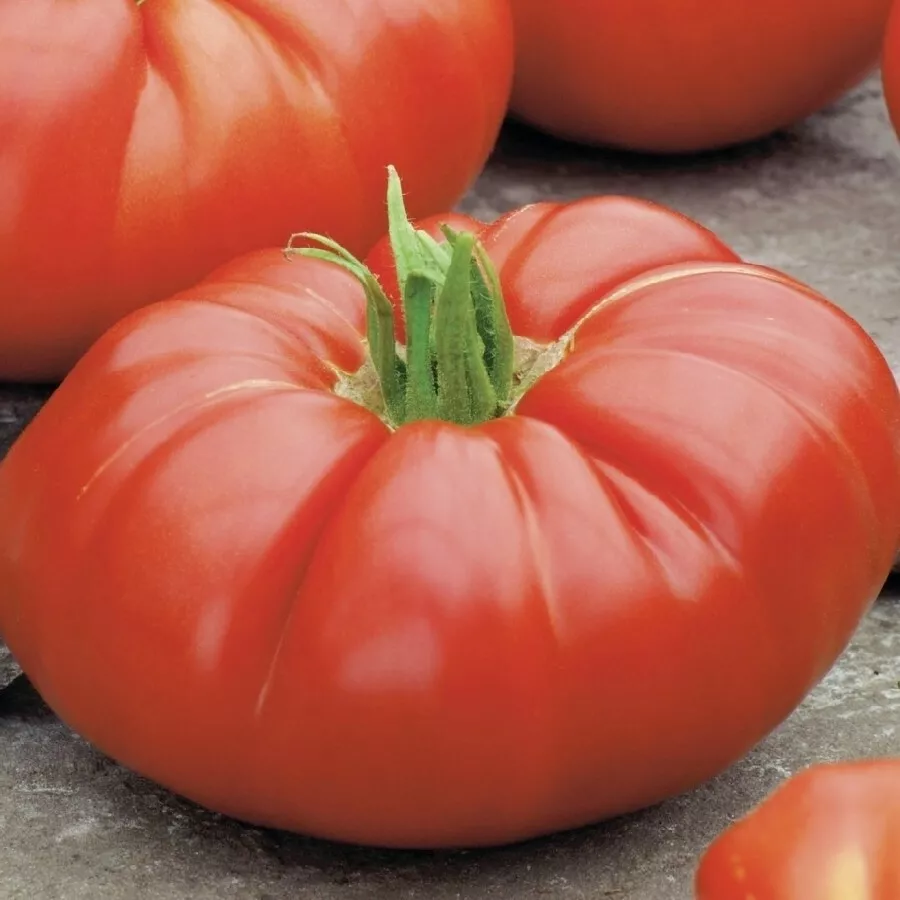 20 Organic Beefsteak Tomato Seeds Fresh Seeds - £8.92 GBP