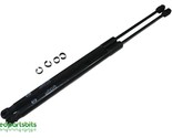 11-14 Mazda 2 Trunk Hatch Tailgate Shock Lift Support Left Right Set Oem - $42.06