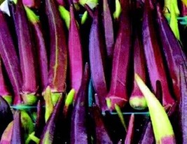 100+ Red Burgundy Okra Seeds| Đậu Bắp |Organic  , 2023 Season , 90% germ... - £3.13 GBP