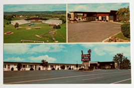 City View Motel Little League Baseball Williamsport PA Dexter UNP Postcard 1970s - £6.37 GBP