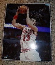 Joakim Noah SIGNED Chicago Bulls Auto 16 X 20 picture PHOTO PROOF JSA Fl... - $84.14