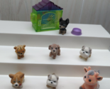 Puppy Jungle in My Pocket lot 5 USED Figures dogs cheetah + giraffe roll... - $14.84