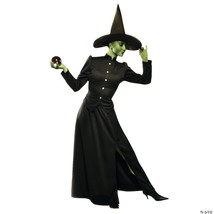 Classic witch adult x large - $102.49