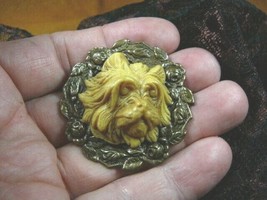 CM100-4 Yorkshire Terrier puppy Westie DOG CAMEO rose Pin Pendant Jewelry brooch - £25.74 GBP