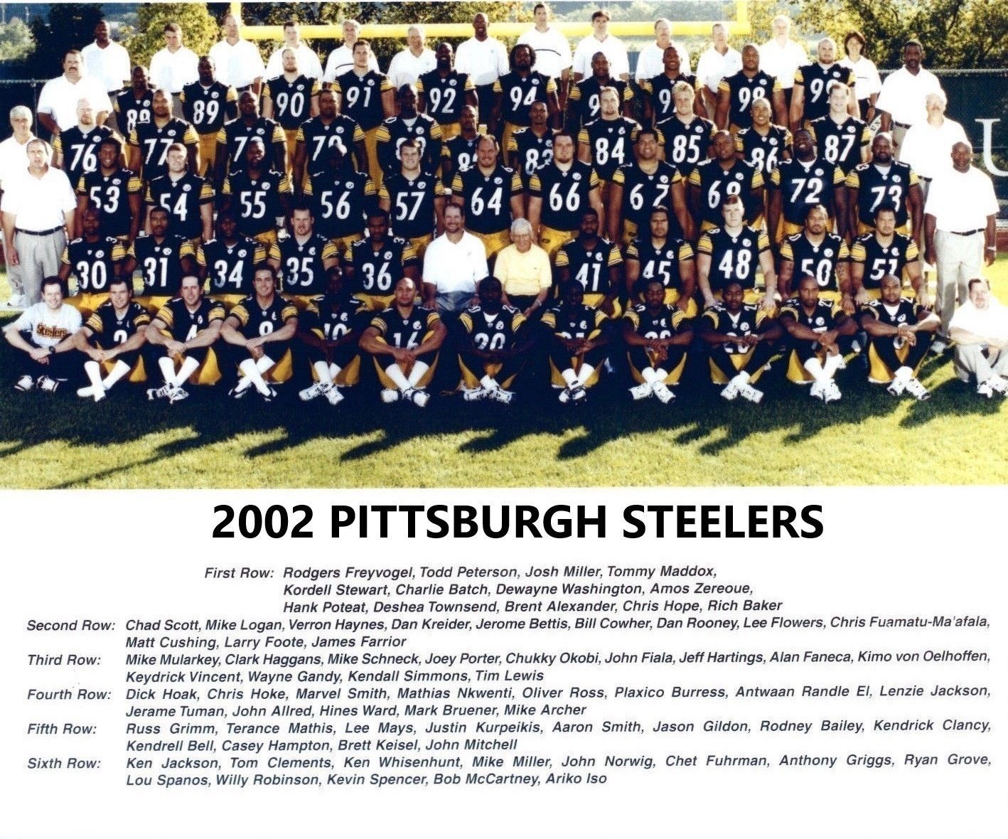 2002 PITTSBURGH STEELERS 8X10 TEAM PHOTO FOOTBALL PICTURE NFL - $4.94