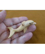 Q201-11 little small baby Dolphin calf Satinwood WOOD wooden FIGURINE do... - $14.99