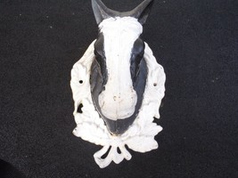 Large Cast Iron Horse Head  /Equestrian Interest - $94.05