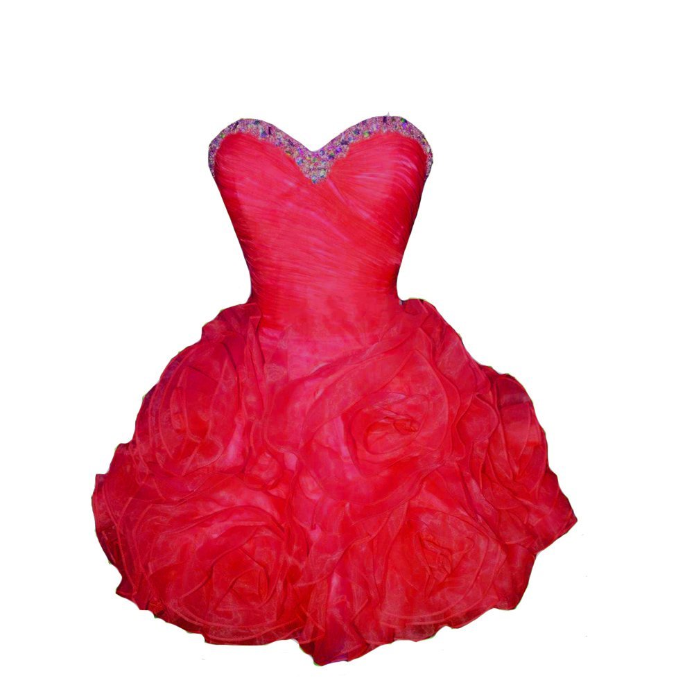 Kivary Women's Short Floral Organza Beaded Corset Prom Homecoming Cocktail Dress