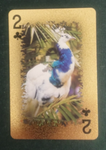 Animal-Themed Golden Foil PVC Mini Playing Card Peacock 2 Clubs - $1.84