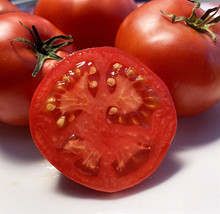 HS  50 Seeds Marglobe Improved Tomato Tomatoe Vegetable Garden Edible Canning - £3.51 GBP