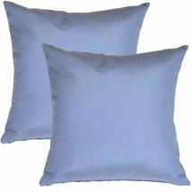 Pillow Decor Sunbrella Indoor Outdoor Throw Pillow, Macaw Green, 20&quot;x20&quot;... - $1,836.60 MXN