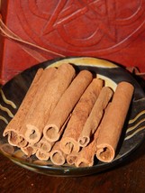CINNAMON STICKS Dried Herb for Ritual Use - Herbs for Spell Ingredients ... - £3.88 GBP