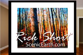 Autumn Fall Color Fine Art Photography Matted &amp; Framed Artwork The Call ... - €642,23 EUR