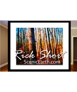Autumn Fall Color Fine Art Photography Matted &amp; Framed Artwork The Call ... - €642,23 EUR