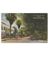 Vintage Postcard Sekon in the Palms Hotel Pass-A-Grille Beach Florida Linen - £6.32 GBP