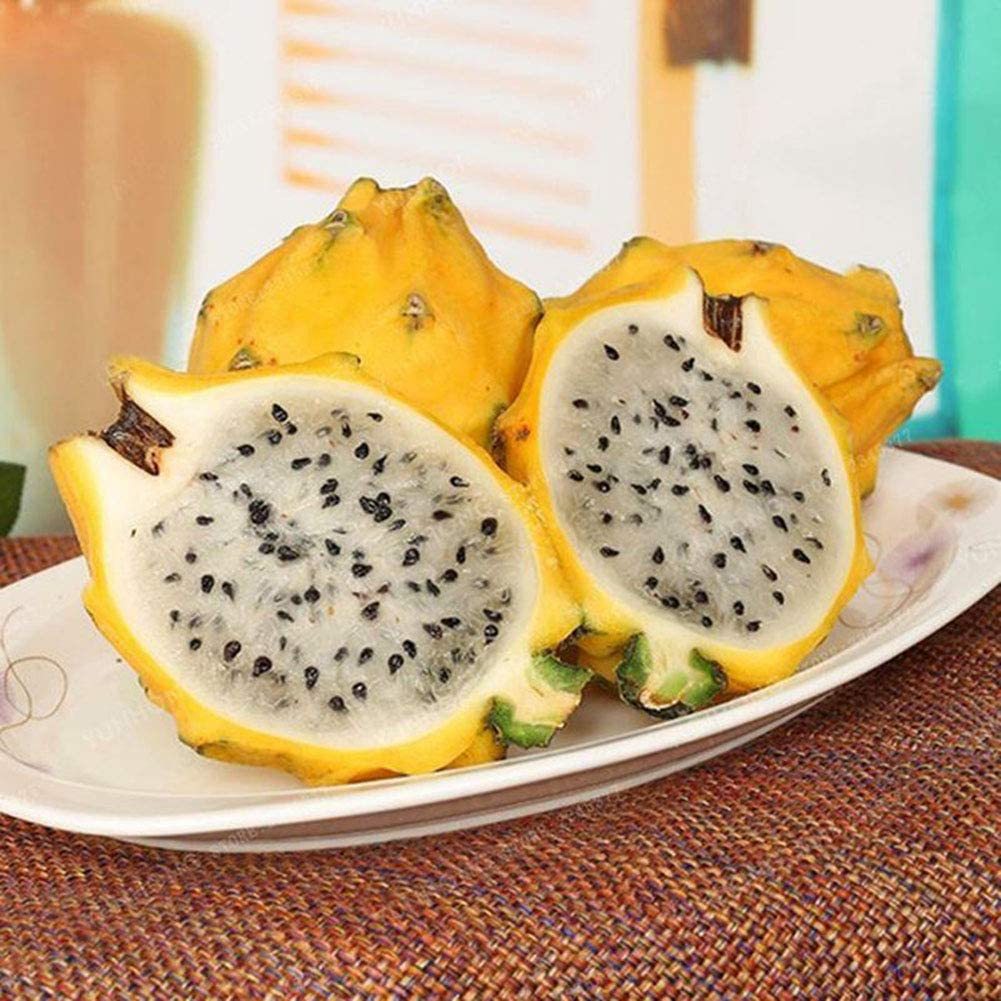 50 seeds, Heirloom Yellow Dragon Fruit Hybrid Pitaya Seeds,TS007