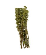Greek Bio Organic Mountain Oregano,80GR,FREE SHIP - $46.31 CAD