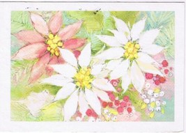 Christmas Postcard Poinsettia Pink &amp; White - $2.96