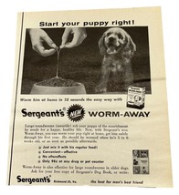 Sergeants Worm Away Vintage 1958 Print Ad Dog Roundworm Medicine Cocker ... - $15.95