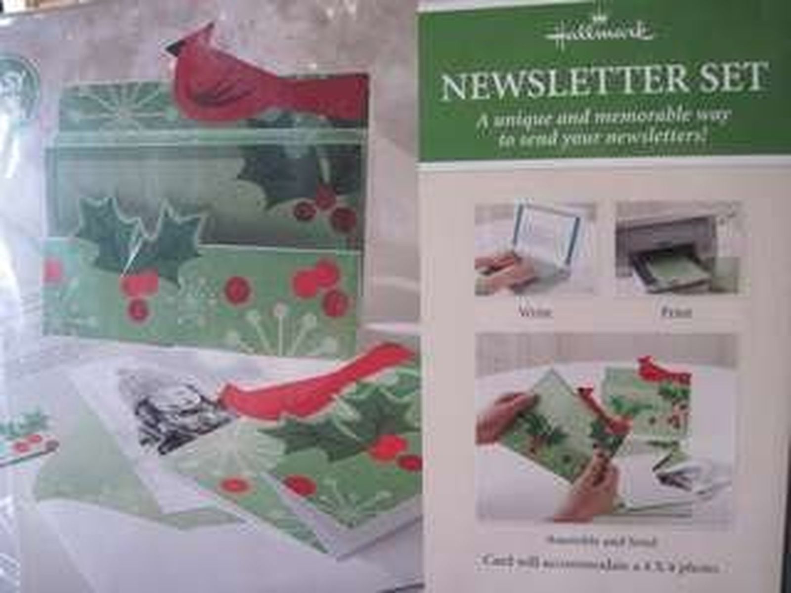 Hallmark Red Cardinal and Holly Christmas Newsletter Set w Envelopes PGX4443 NEW - $12.86