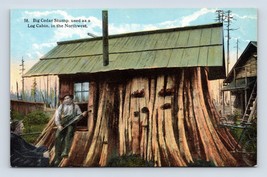 Cedar Stump House Everett WA Washington UNP DB Postcard Q8 - £6.66 GBP